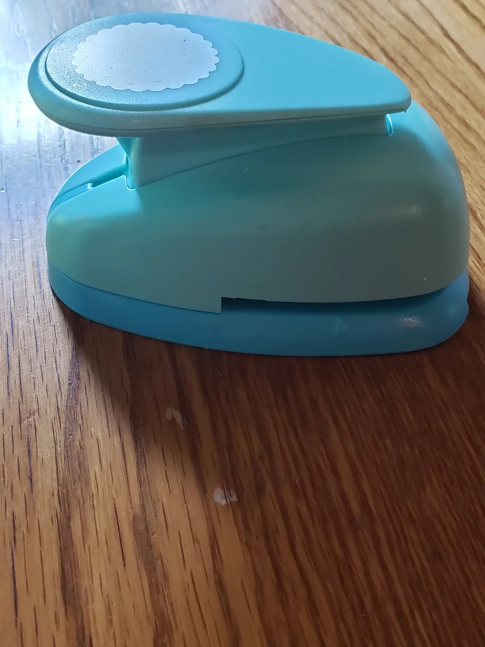 urquoise Craft Paper Punch - Decorative Scallop Circle 2 Inch Punch Out.